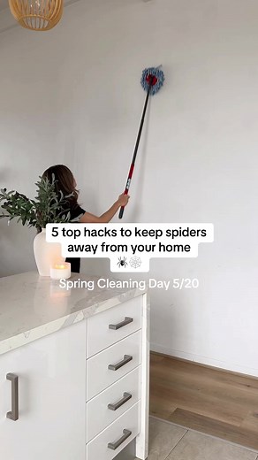 Say goodbye to spiders 🕷️ Thanks for all the love on my bugs spiders series so far - here’s a roundup of the best tricks to keep spiders away 🕸️ which one will you try first? 1. Rub lavender or peppermint oil on your windows to repel spiders entering (you can do this to your car too!) 2. And you can add these oils to baking soda and sprinkle it at the base of your bin 3. Pour boiling water down your drains to keep bugs from entering the home 4. Spiders hate the smell of coffee, so you can plac