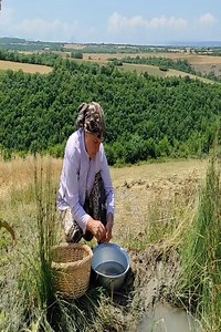 6.6K views · 247 reactions | Finnish Pie with Black Currant.殺殺殺 | Cooking Family | Facebook