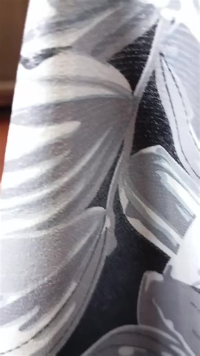 Escapé Akrapovic 2026: Música de Perros Llorando