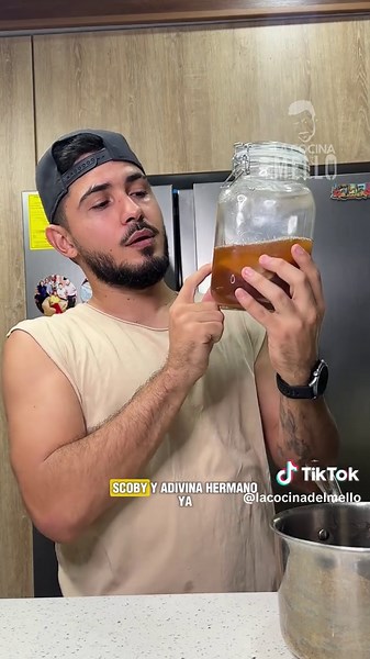 ¿Cómo preparar el SCOBY para kombucha?