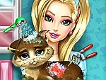 Play Kitty Rescue Vet | Free Online  Games. KidzSearch.com