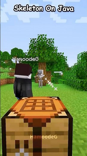 "Java Skeleton VS Bedrock Skeleton 💀"