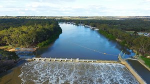 Murray flows could now peak at 150 gigalitres per day into SA, risk of 'blackwater events'