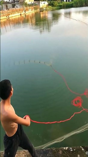 cast net fishing techniques #fishing #net #fishinglife