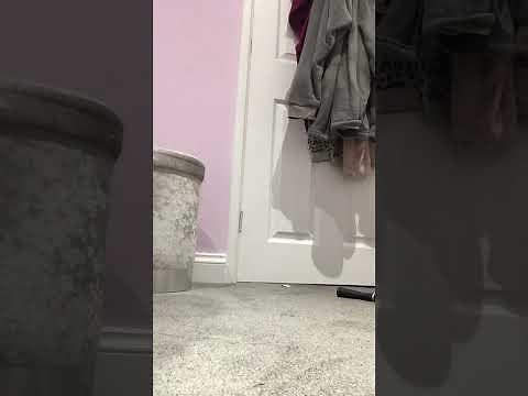 ✨Backbend tutorial✨