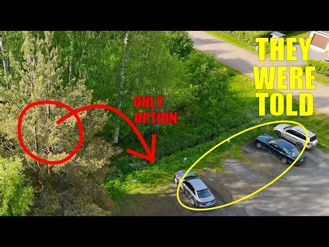 2025 Job 23: Didn’t Move the Car? Watch What This Pine Tree Did…
