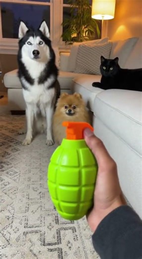 Best “Play Dead” Performance Ever