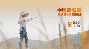 3.9K reactions · 32 shares | After receiving a master's degree, Tian Shuxian made the rare decision to return to her rural hometown in central China's Hubei Province to start an agricultural business. There, she helped farmers "get smarter" with modern technology and pioneered an integrated farming model including rice, crayfish and ducks. | CGTN | Facebook