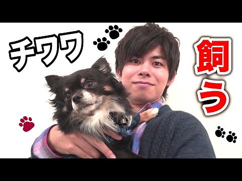 [Update] A dog has arrived! I’m going to keep it!!