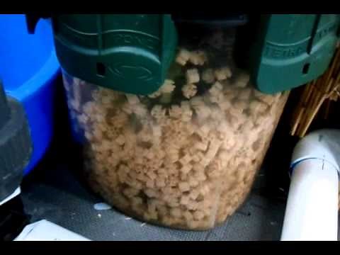 Tetra Pressure Filter Backwashing by Columbia Water Gardens - Part 1 of 2