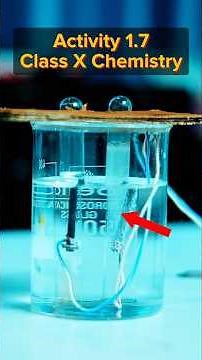 Live Experiments: NCERT Activity 1.7 Chemical Reaction and Equations | Class 10th