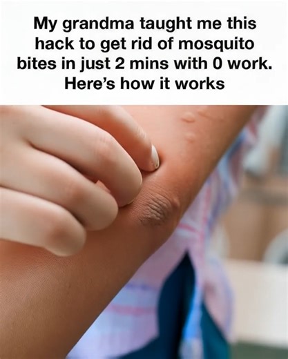 Were you aware of this? Wow, I discovered something new!. Full article 👇 💬 | The meaning of life