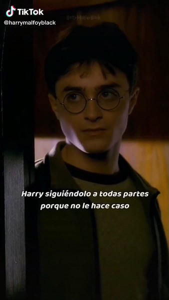 Vivan los novios: La historia de Draco y Harry