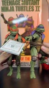 MIKEY AND DONATELLO TMNT FIGURE REVIEW‼️ #tmnt #ninjaturtles #toys #actionfigure #toyreview
