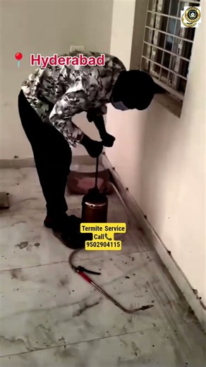 Termite Service Control - Call📞9502904115