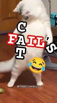 FUNNY CAT Fails 😂 #cat #funny #catshorts #shortsfeed #shorts #memes #cute