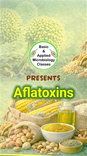 Aflatoxins|#microbiology #foodmicrobiology #medical #foodtech #shorts @basicappliedmicrobiology