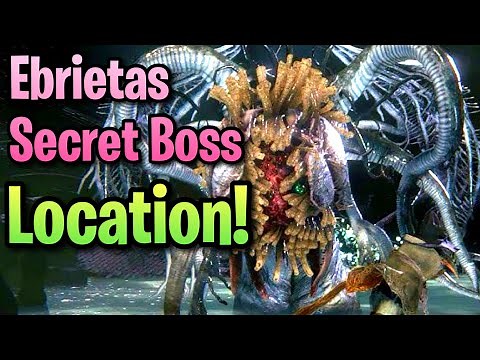 How to Find Ebrietas Daughter of the Cosmos Location EASY Bloodborne