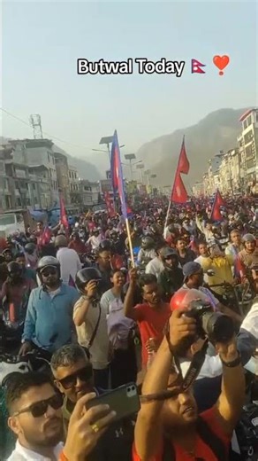 youtube search channel, youtube search channel not showing, youtube