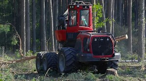 Forest Wheeled Harvester Komatsu. A cut-to-length (CTL) forest harvester. Pine Forest Harvesting Machine. Logging Equipment. The forestry industry. The harvester lumberjack working in a forest.