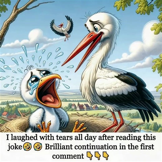7.1K views · 15 reactions | Two storks are sitting in their nest: a father stork and a baby stork. The baby stork is crying and crying and the father stork is trying to calm him. "Don't worry, son. Your mother will come back. She's only bringing...Check the comments for the full story藍 | Daily Funny Vibes | Facebook