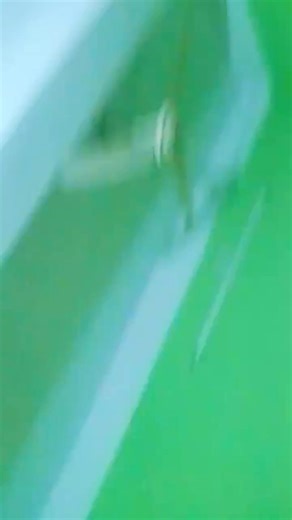 124 reactions · 33 comments | Muslima Muslima on Reels | Facebook