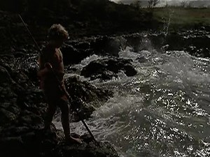 Ковбой издалека (1974) The Castaway Cowboy