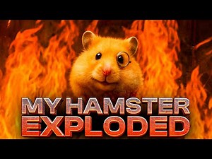 My Hamster Exploded ( A Reddit Story )