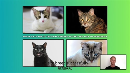 【中英字幕】IGCSE 生物 Biology - Concept and Uses of Classification Systems (1.2)