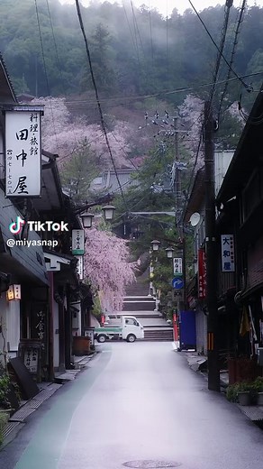 長谷寺の春と桜の美しさ