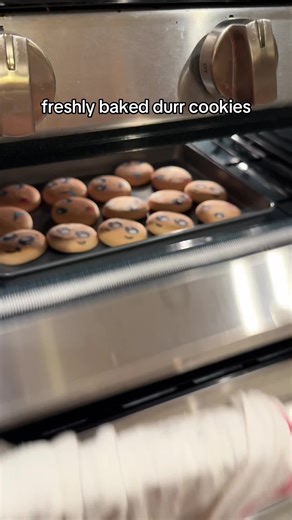 i burnt my hand 🥹 (the cookie pan is new) #durr #durremoji #dur #plushpin