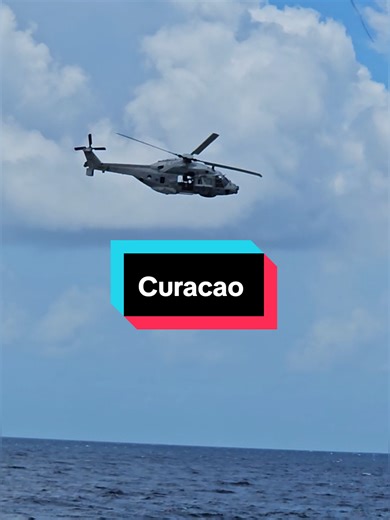 Various military, oil tankers, and cruise ships on the coast of Curacao.