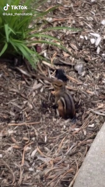 #nature #lukethenotable