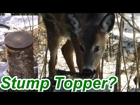 DIY Molasses Stump Topper Deer Attractant