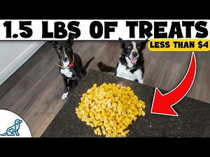 Don’t Waste Money on Dog Treats Until You Try THESE
