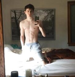 EDWARD JAMES BAYER - AUSTRIAN MODEL