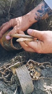 48K views · 862 reactions | The best metal detecting for depth The best detector #metaldetecting #obsession #shorts #reel | Metal Detecting | Facebook