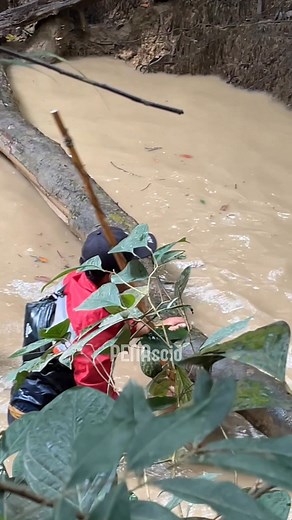 Berburu ikan Tapah | Pena Newsroom