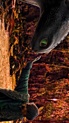 The Silent Noise on Instagram: "HATED.... . . . . . . #httyd #howtotrainyourdragon #toothless #nightfury #hiccuphaddock #hiccup #dragon #lightfury"