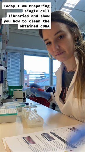 Single cell sequencing is one of the most used methods in immunology to characterize different cells types and understand for example differentiation states of cells or heterogeneity within the same cell types. Single cell sequencing has many different applications depending on the question you want to answer. Here I am showing one part of the protocol, preparing the libraries for sequencing. Here in my account I will take you with me in the world of immunology in the lab and outside the lab! #s