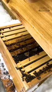 Making Caveman Glue #diy #history #experiments | How To Make Everything