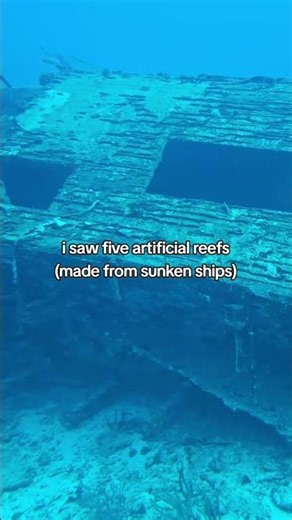 Atlantis Submarine in Aruba #travel #Caribbean #chimeracostumes