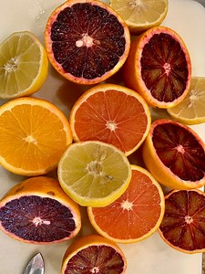 Orange Cuttings! Navel Orange, Cara Cara Orange, Blood Orange, Meyer Lemon, Mexican Lime, Sweet Lime- 3-pack Scion Wood Cuttings - Etsy