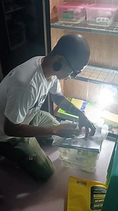 202K views · 4.5K reactions | Konting Kaalaman Ano ba daw ang LTP ? Wildlife Farm Permit Holder #farmlifebestlife #noanimalswereharmedinthisvideo | Dan The Keeper | Facebook