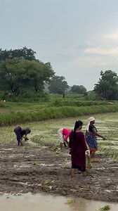 78K views · 6.7K reactions | Mor Sashur Ghari Pala Rupa Re Amku Kj Jibar Padla #viral #trendingreels #reelsinstagram #_titilagadiapila #minivlog #lbvlogs #palaruan | Laba Hati | Facebook