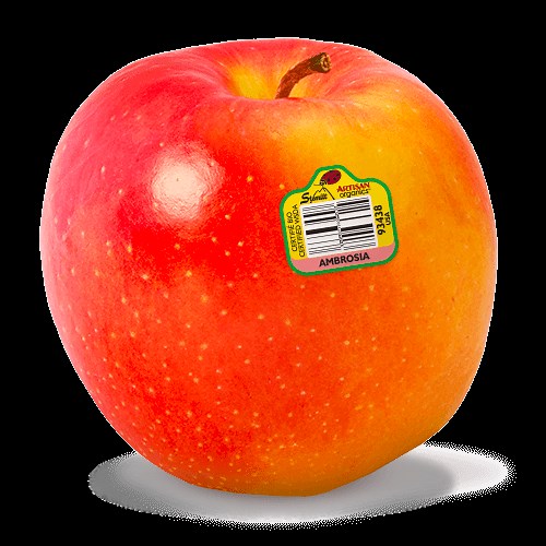 Ambrosia Apple Review - Apple Rankings by The Appleist Brian Frange