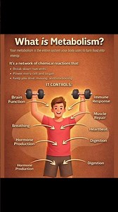 💪 What is Metabolism?It's your body's ultimate powerhouse—