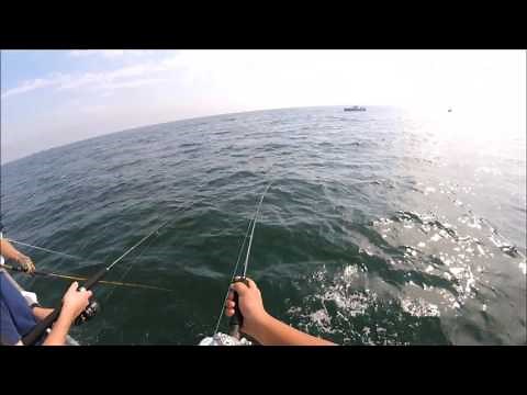 Long Island Fluke Fishing - James Joseph II - Huntington, New York