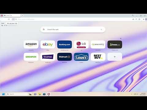 How to View Saved Passwords in Opera Browser [Guide]