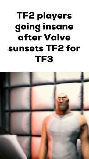 TF2 Players Going Insane